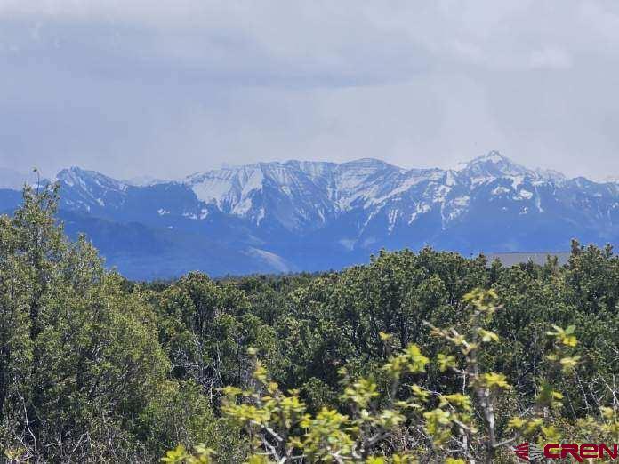 Tbd(tract 9) Government Springs Montrose CO 81403