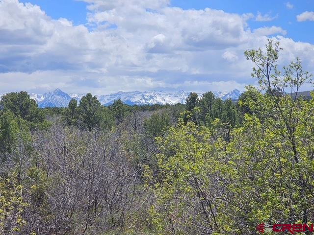 Tbd(tract 9) Government Springs Montrose CO 81403