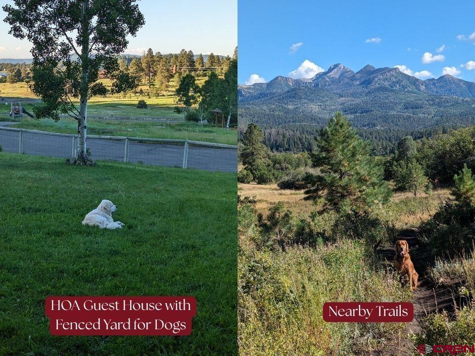 180 Dylan Drive Pagosa Springs CO 81147