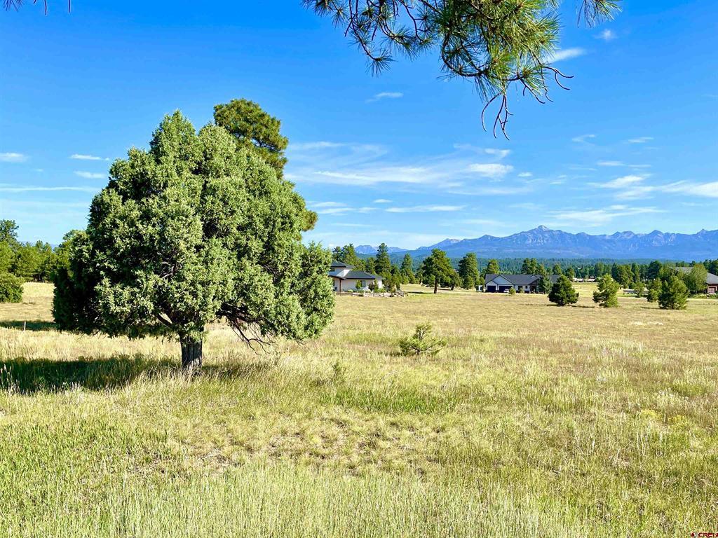 243 Vista San Juan Pagosa Springs CO 81147