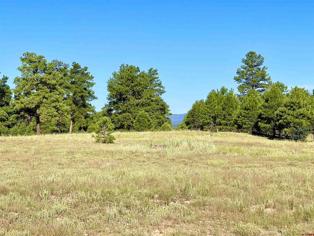 243 Vista San Juan Pagosa Springs CO 81147