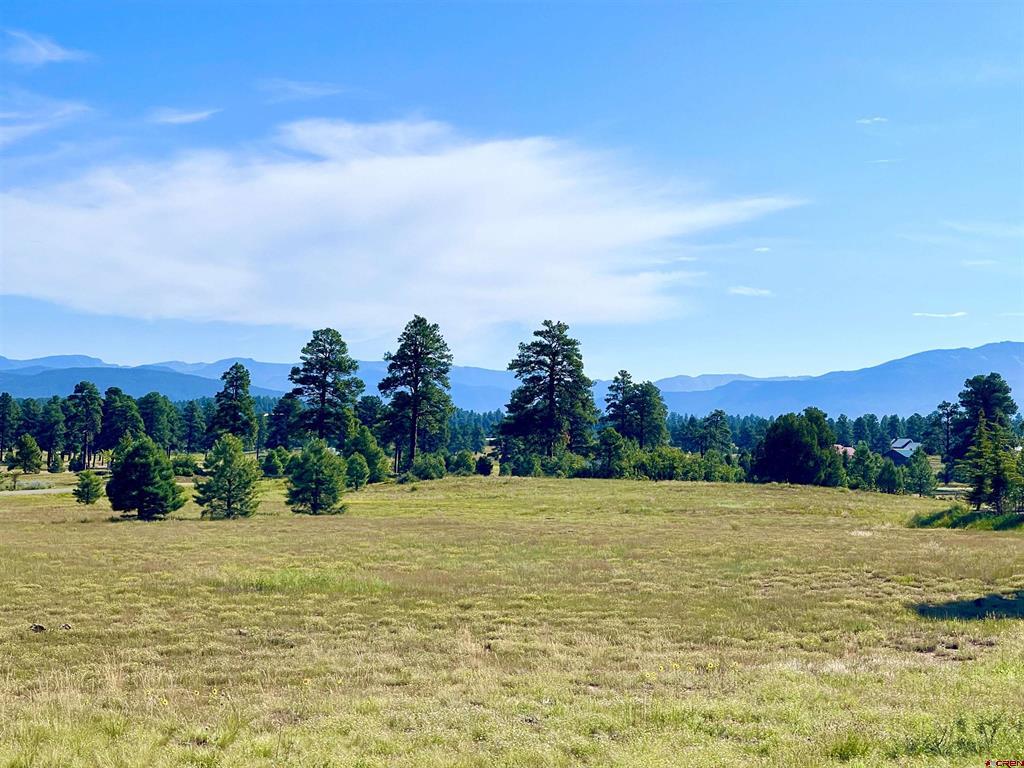 243 Vista San Juan Pagosa Springs CO 81147