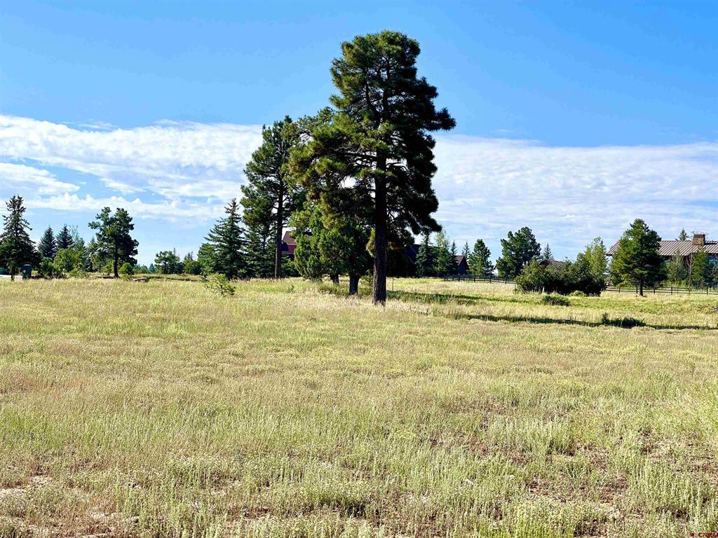 243 Vista San Juan Pagosa Springs CO 81147