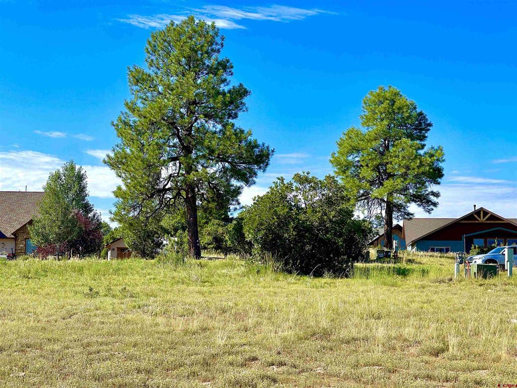 243 Vista San Juan Pagosa Springs CO 81147