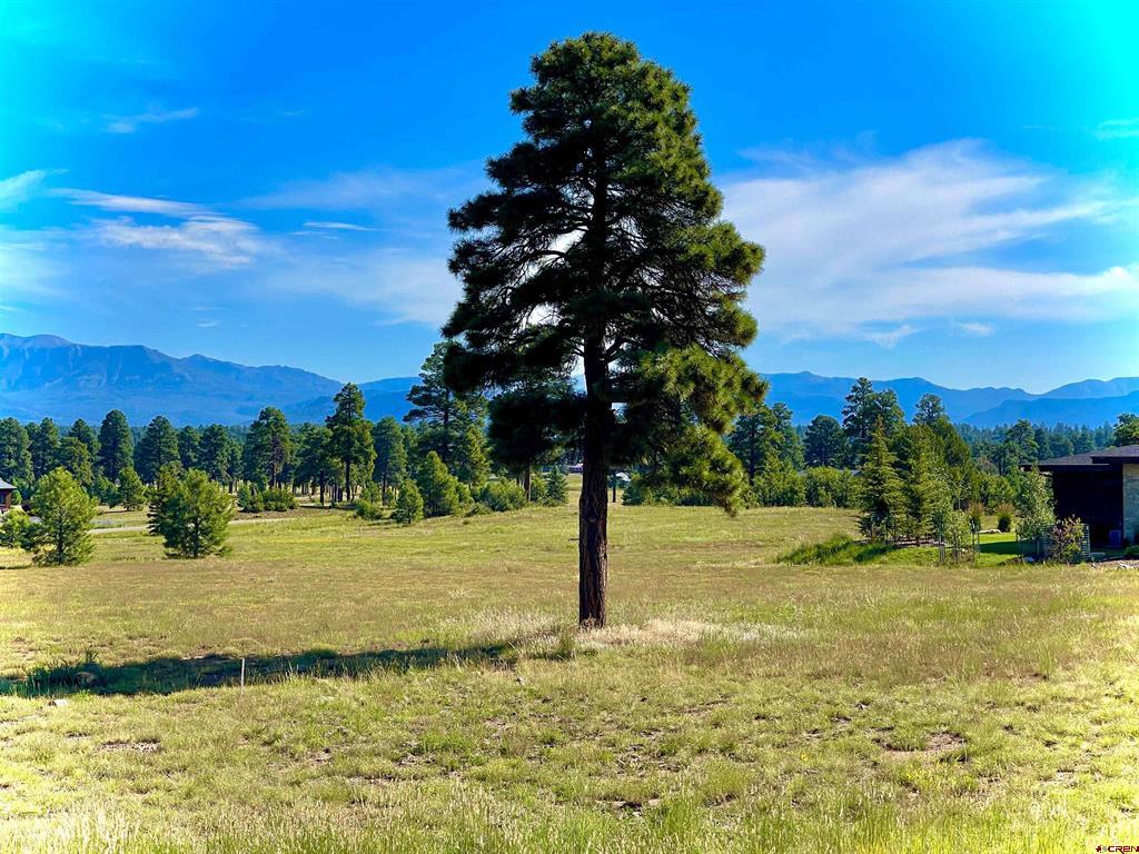 243 Vista San Juan Pagosa Springs CO 81147