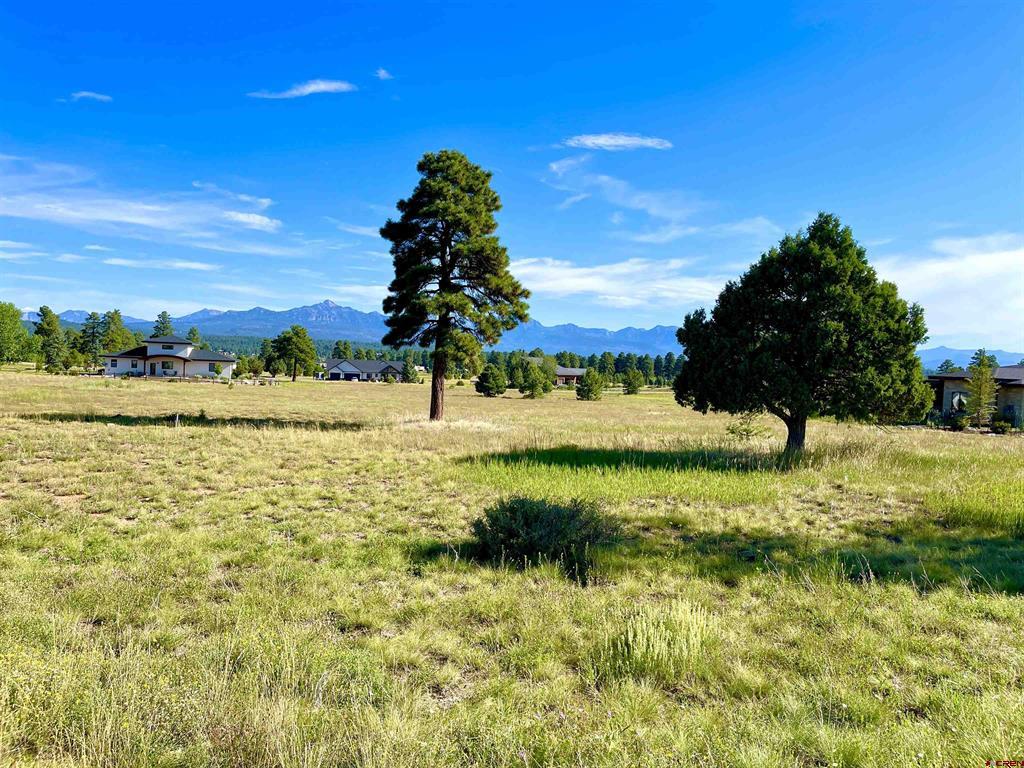 243 Vista San Juan Pagosa Springs CO 81147