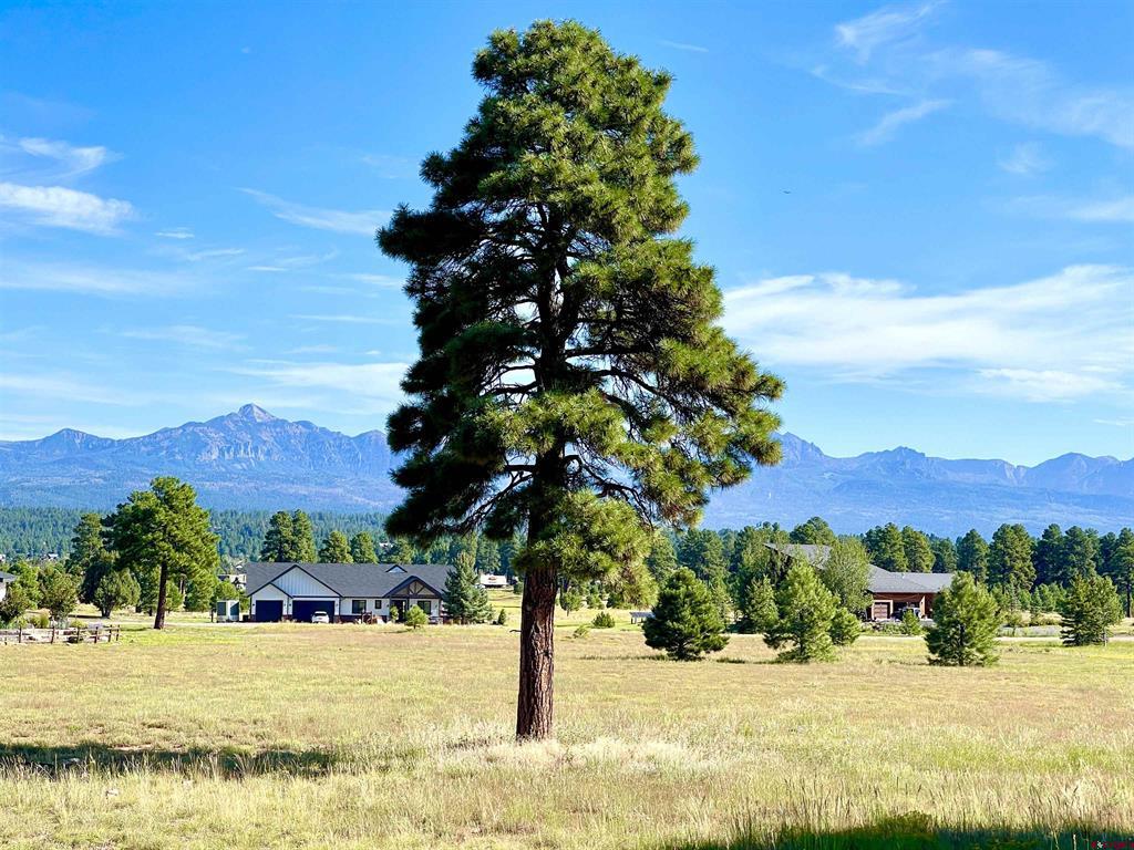 243 Vista San Juan Pagosa Springs CO 81147
