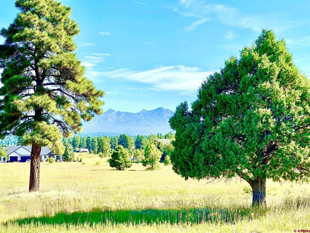 243 Vista San Juan Pagosa Springs CO 81147