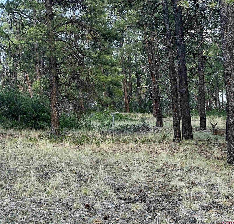 1523 West View Road Pagosa Springs CO 81147