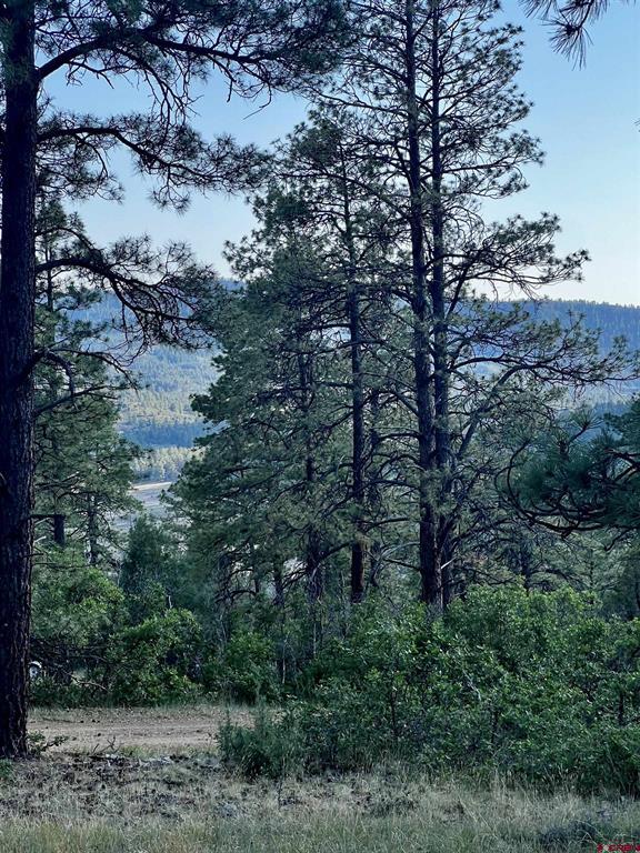 1523 West View Road Pagosa Springs CO 81147