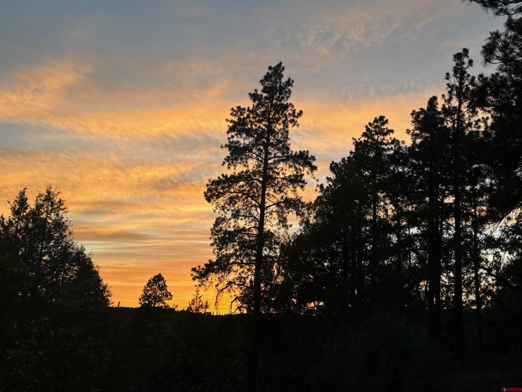 1523 West View Road Pagosa Springs CO 81147