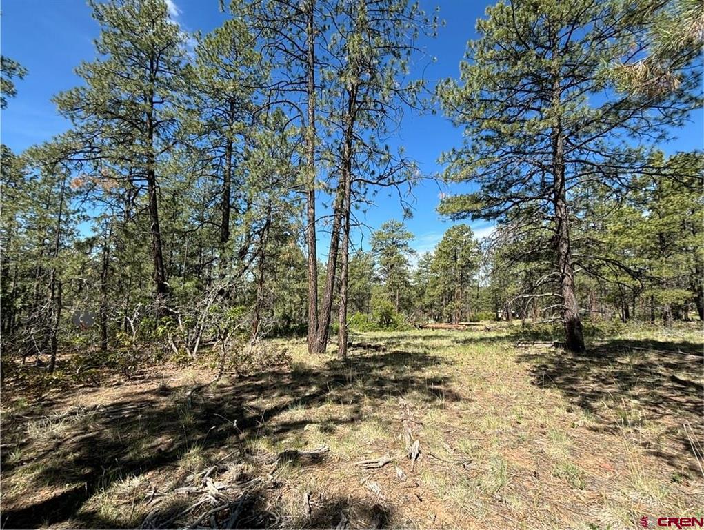 1523 West View Road Pagosa Springs CO 81147