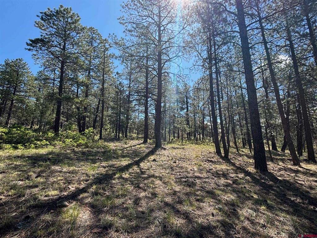 1523 West View Road Pagosa Springs CO 81147