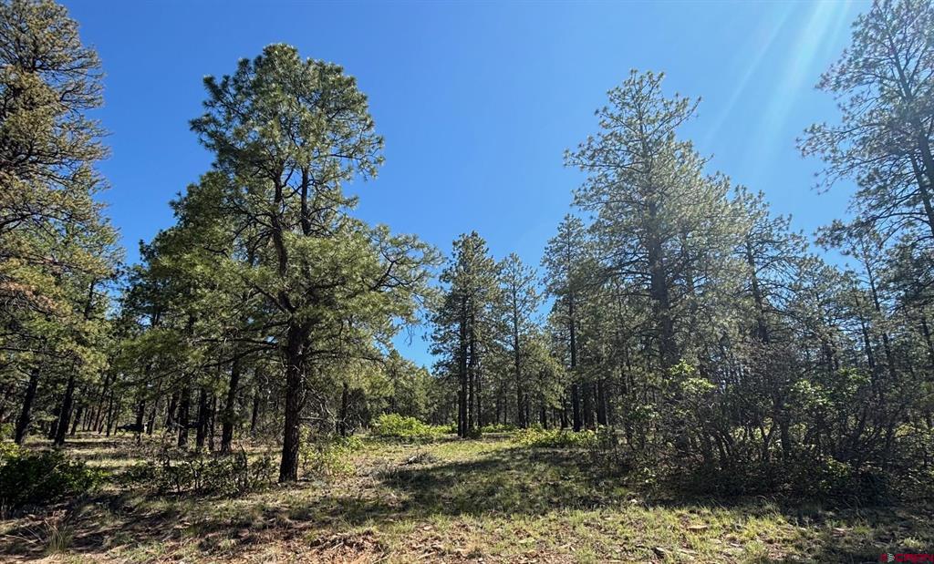 1523 West View Road Pagosa Springs CO 81147