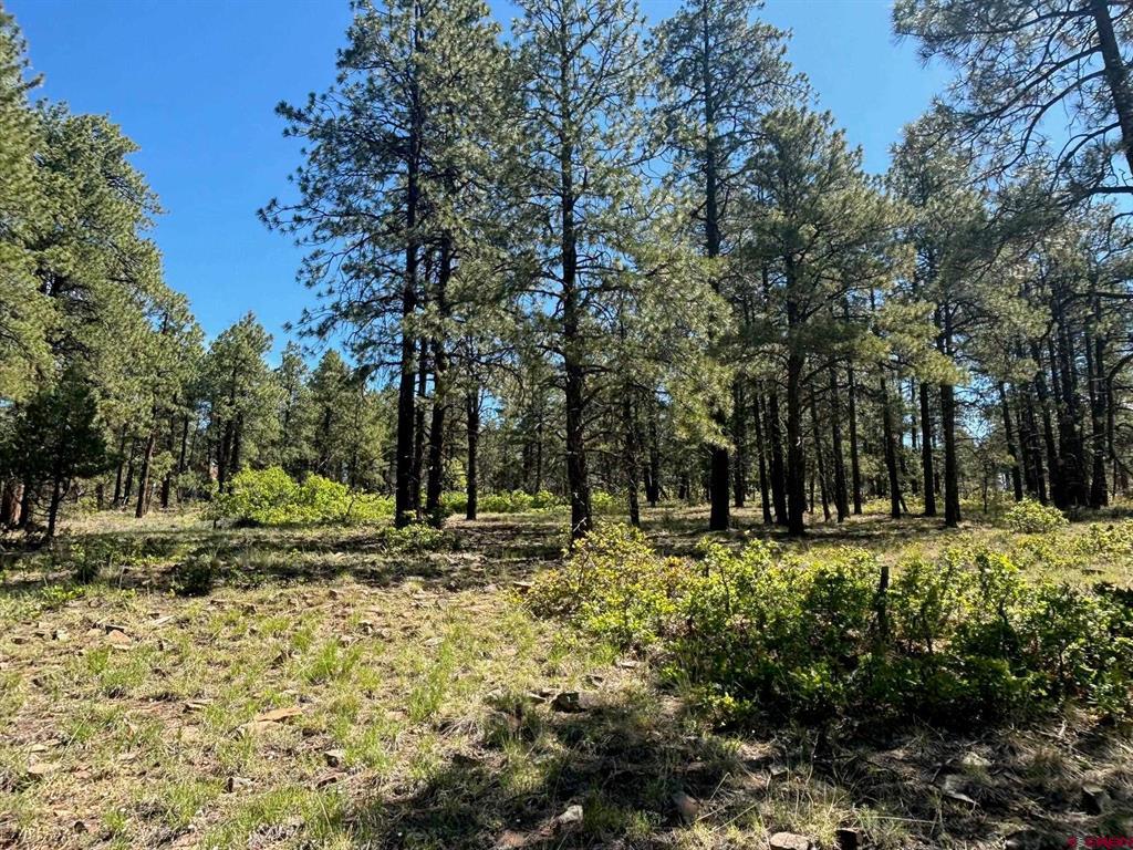 1523 West View Road Pagosa Springs CO 81147