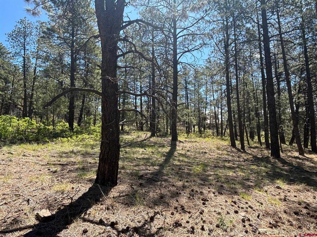 1523 West View Road Pagosa Springs CO 81147