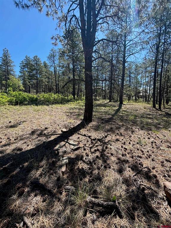 1523 West View Road Pagosa Springs CO 81147