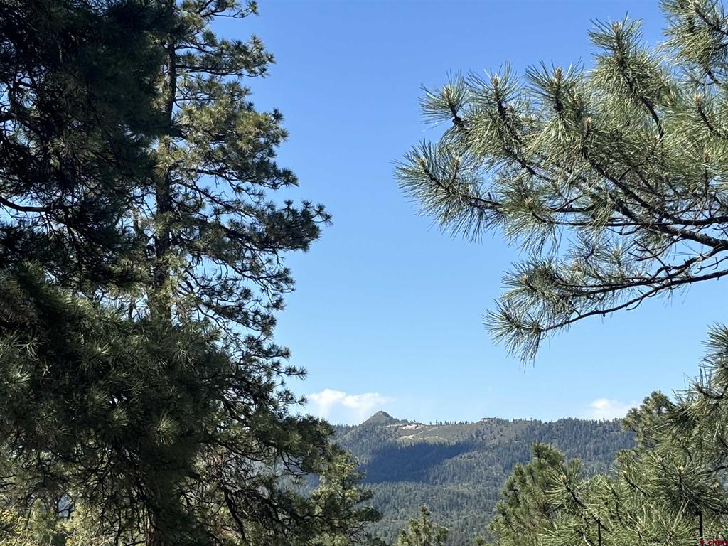 1523 West View Road Pagosa Springs CO 81147