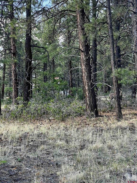 1523 West View Road Pagosa Springs CO 81147