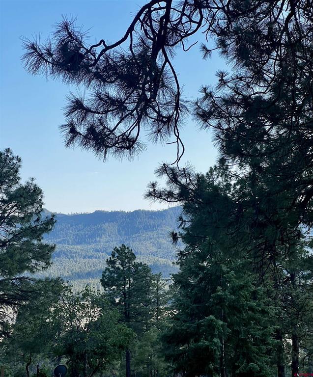 1523 West View Road Pagosa Springs CO 81147