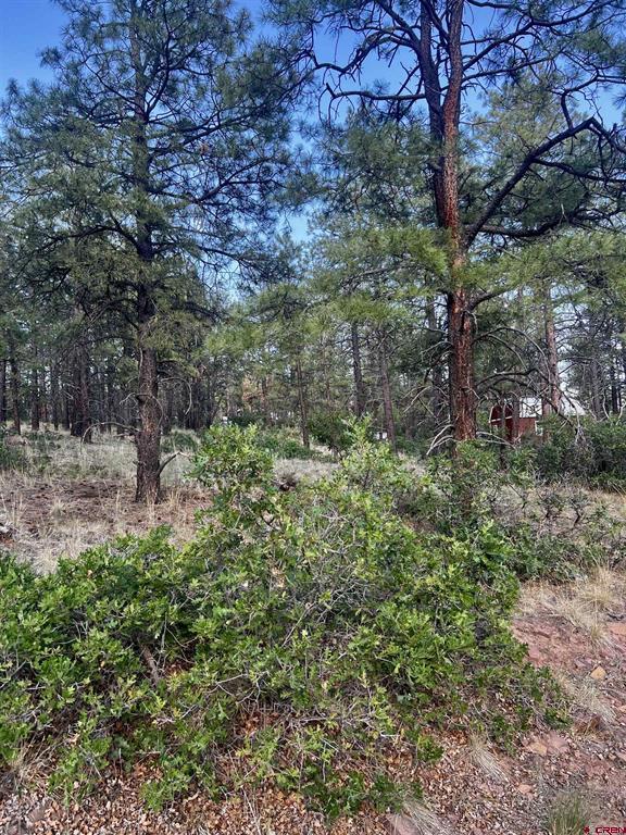 1523 West View Road Pagosa Springs CO 81147