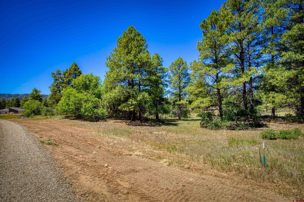 30 High Drive Pagosa Springs CO 81147