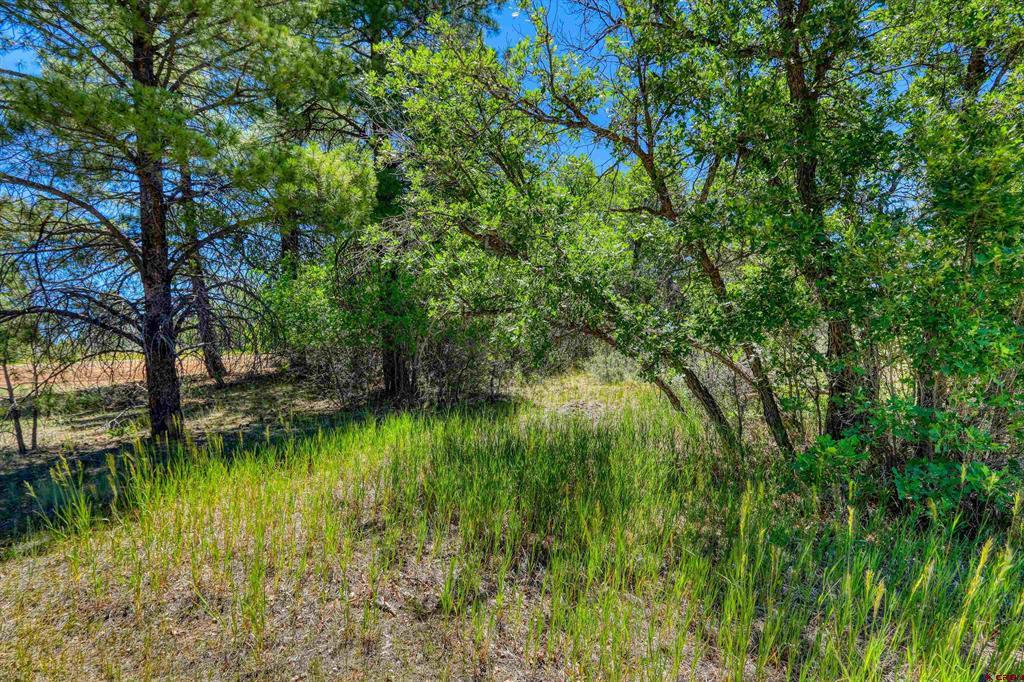 30 High Drive Pagosa Springs CO 81147