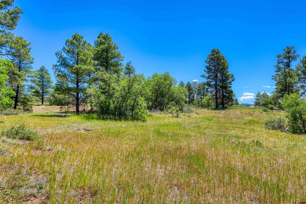 30 High Drive Pagosa Springs CO 81147