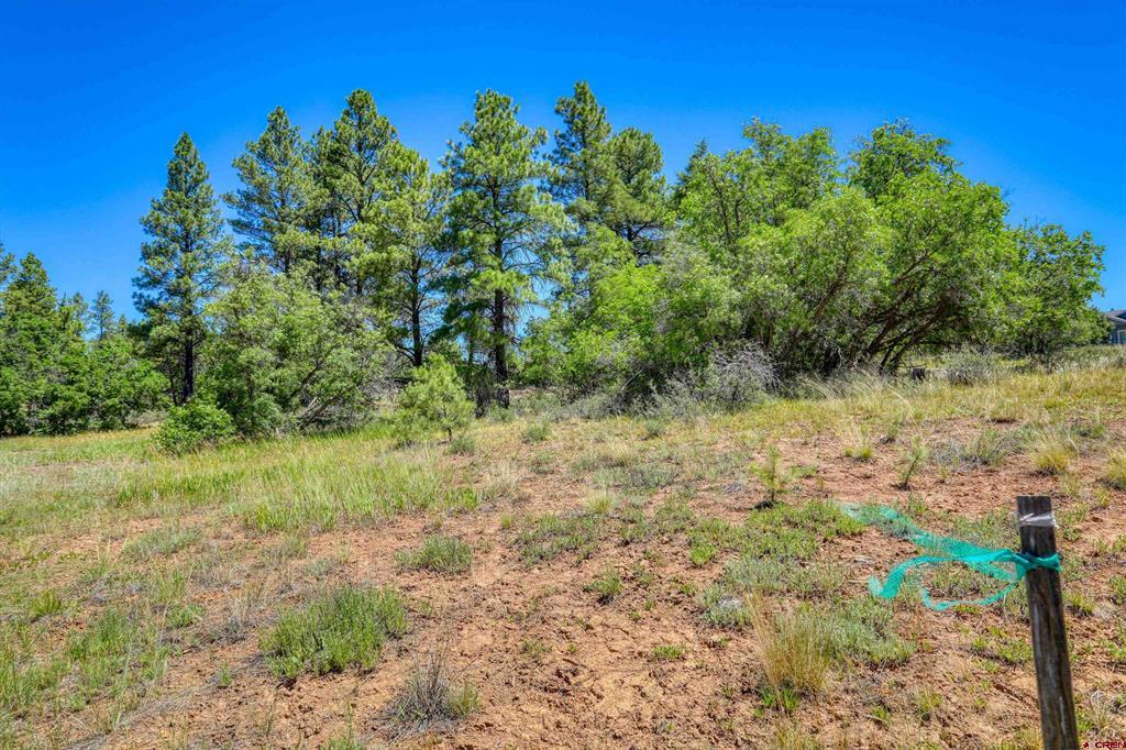 30 High Drive Pagosa Springs CO 81147