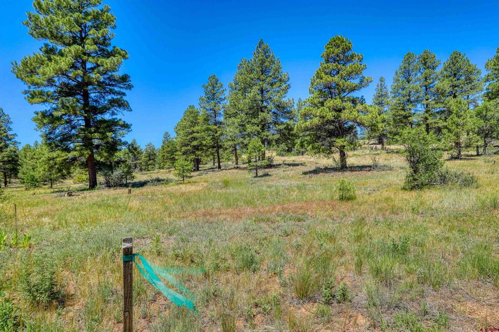 30 High Drive Pagosa Springs CO 81147