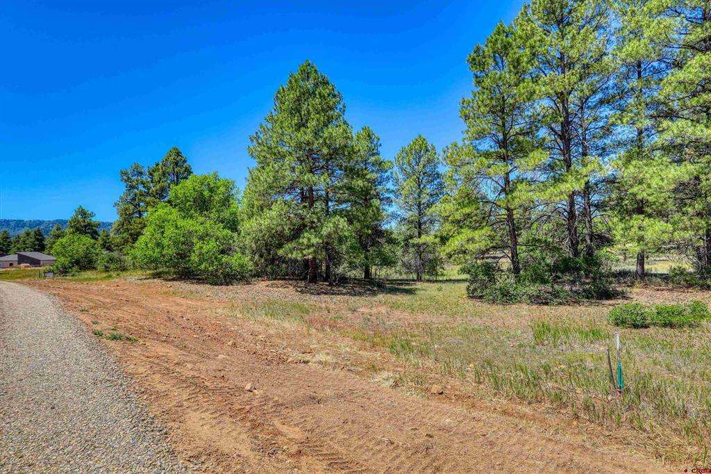 30 High Drive Pagosa Springs CO 81147