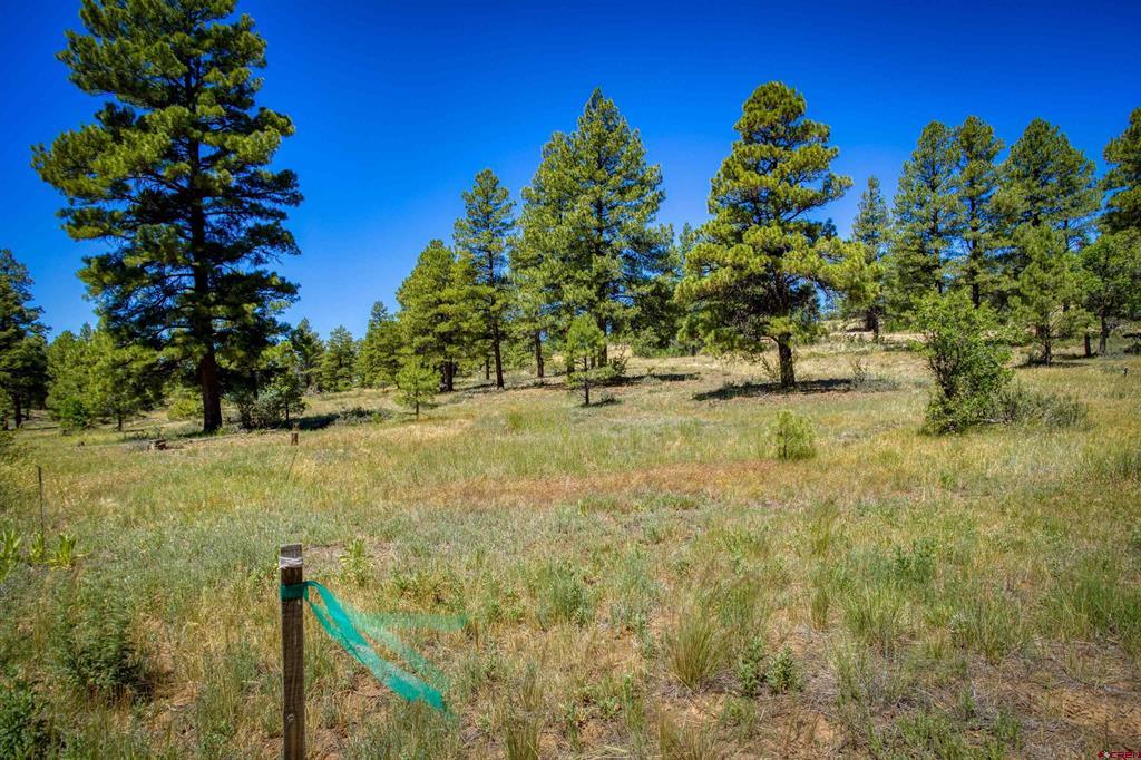 30 High Drive Pagosa Springs CO 81147