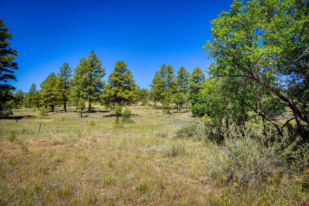 30 High Drive Pagosa Springs CO 81147