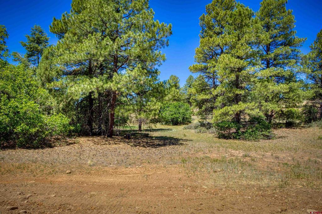 30 High Drive Pagosa Springs CO 81147