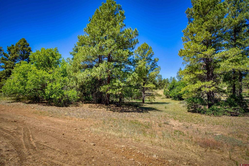 30 High Drive Pagosa Springs CO 81147