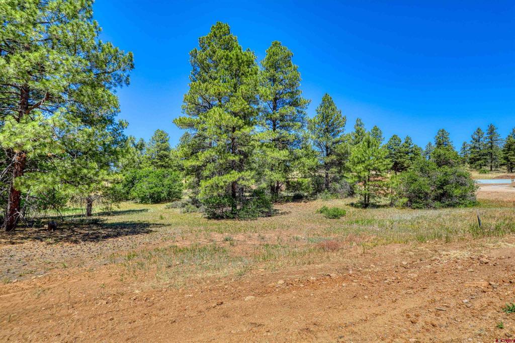 30 High Drive Pagosa Springs CO 81147
