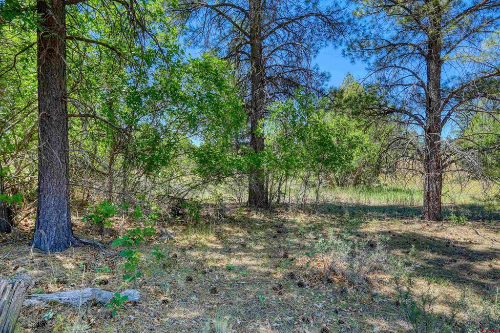 30 High Drive Pagosa Springs CO 81147