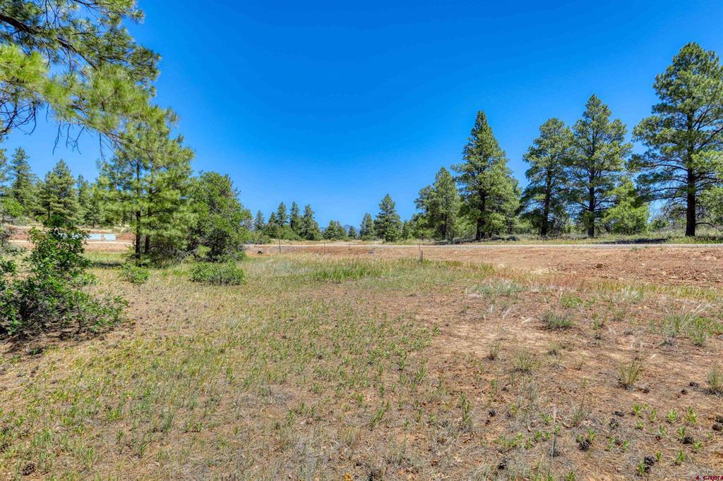 30 High Drive Pagosa Springs CO 81147