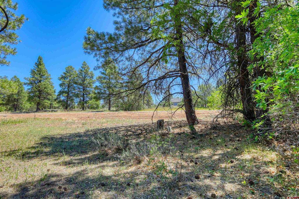 30 High Drive Pagosa Springs CO 81147