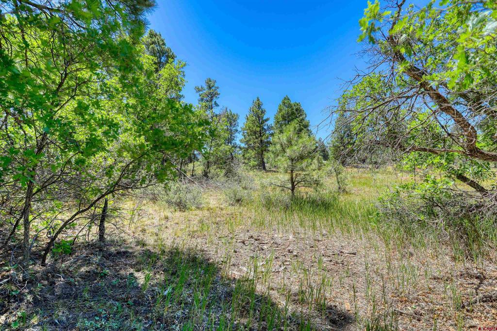 30 High Drive Pagosa Springs CO 81147