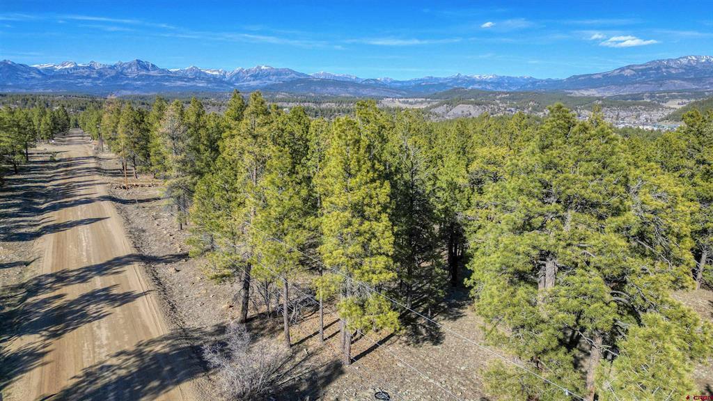 46 S Squaw Canyon Place Pagosa Springs CO 81147