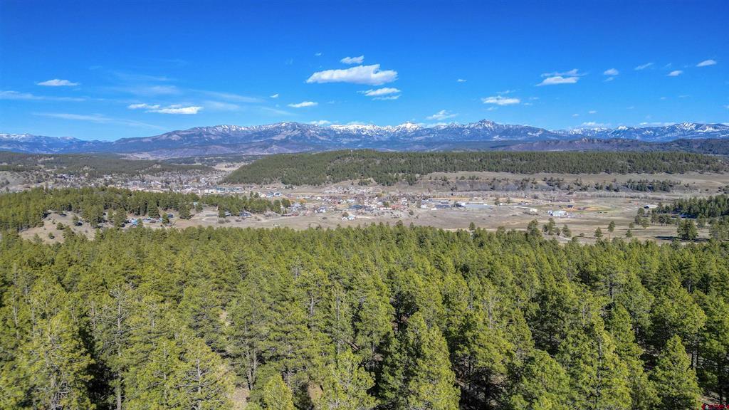 46 S Squaw Canyon Place Pagosa Springs CO 81147