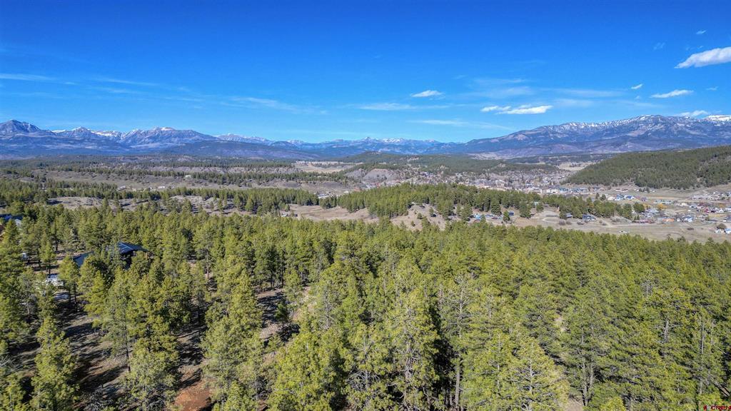 46 S Squaw Canyon Place Pagosa Springs CO 81147