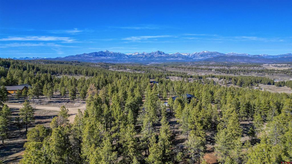 46 S Squaw Canyon Place Pagosa Springs CO 81147