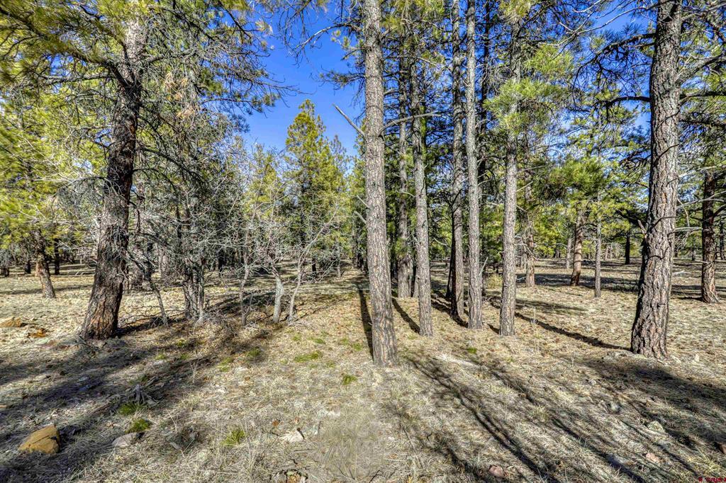 46 S Squaw Canyon Place Pagosa Springs CO 81147