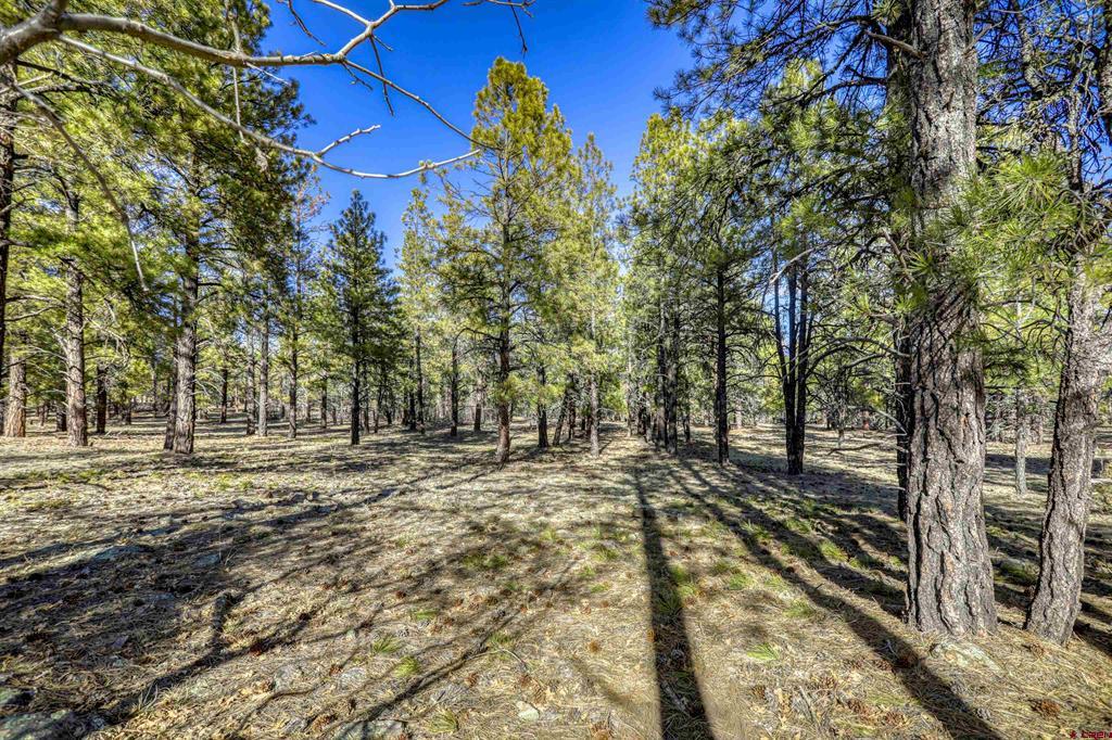 46 S Squaw Canyon Place Pagosa Springs CO 81147