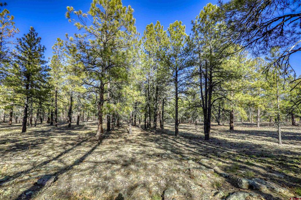 46 S Squaw Canyon Place Pagosa Springs CO 81147
