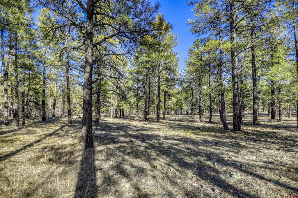 46 S Squaw Canyon Place Pagosa Springs CO 81147