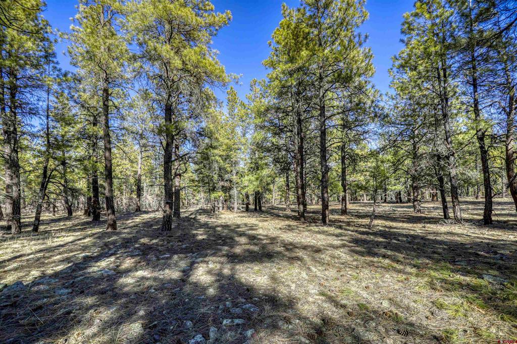 46 S Squaw Canyon Place Pagosa Springs CO 81147