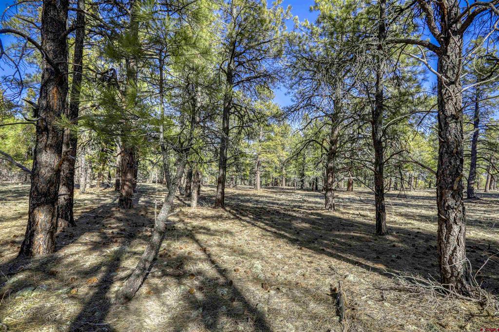 46 S Squaw Canyon Place Pagosa Springs CO 81147